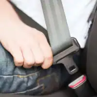 SeatBelt SeatBelt